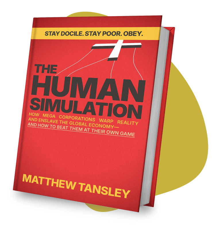 the human simulation book